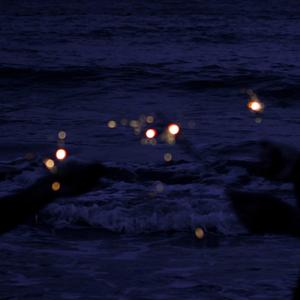 日韩日韩女性交做爱视频免费看
